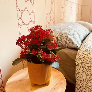 la-caravella-apartament.hotelitalianriviera.com/